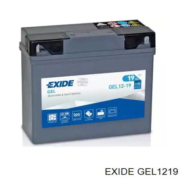 Аккумулятор GEL1219 Exide