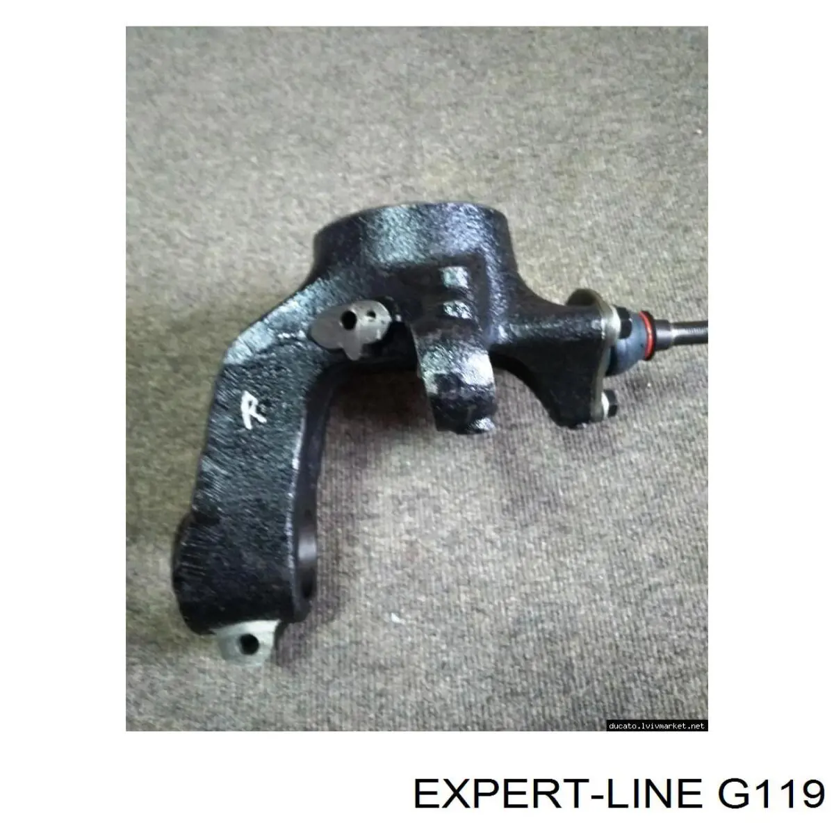 Купить G119 Expert Line Задний стабилизатор поперечной устойчивости