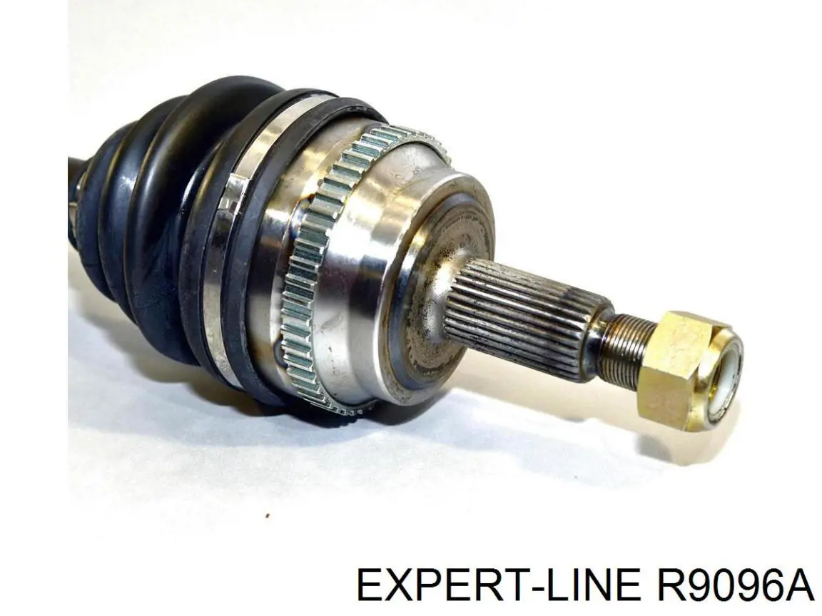 Купить R9096A Expert Line 