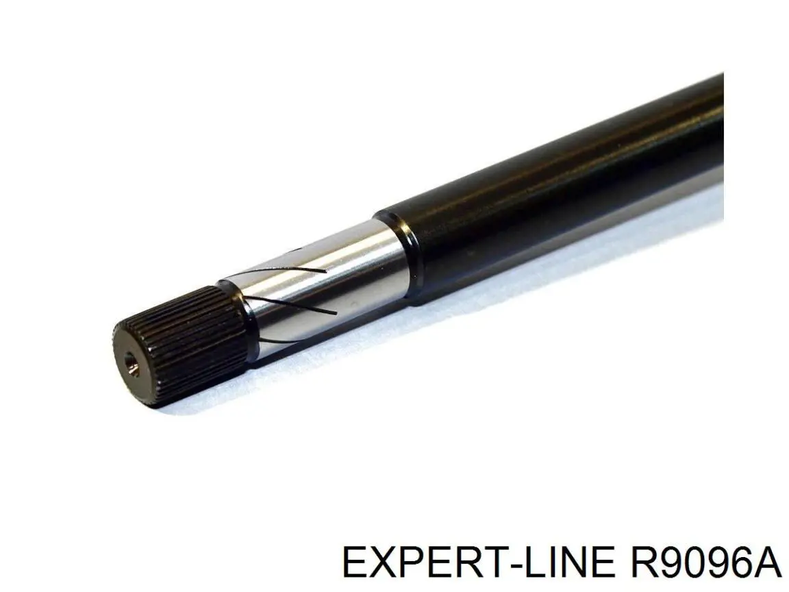 R9096A Expert Line 