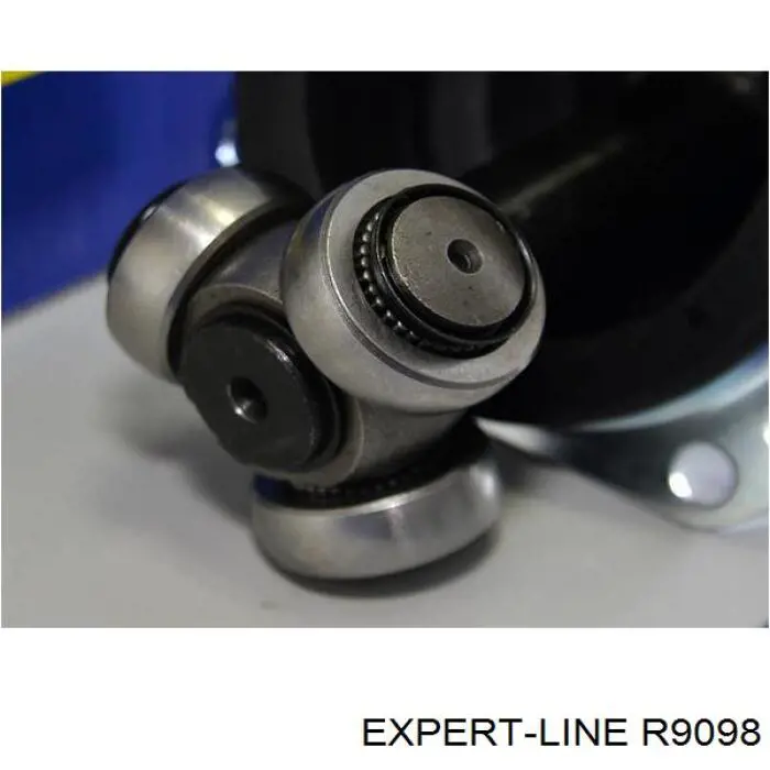  R9098 Expert Line