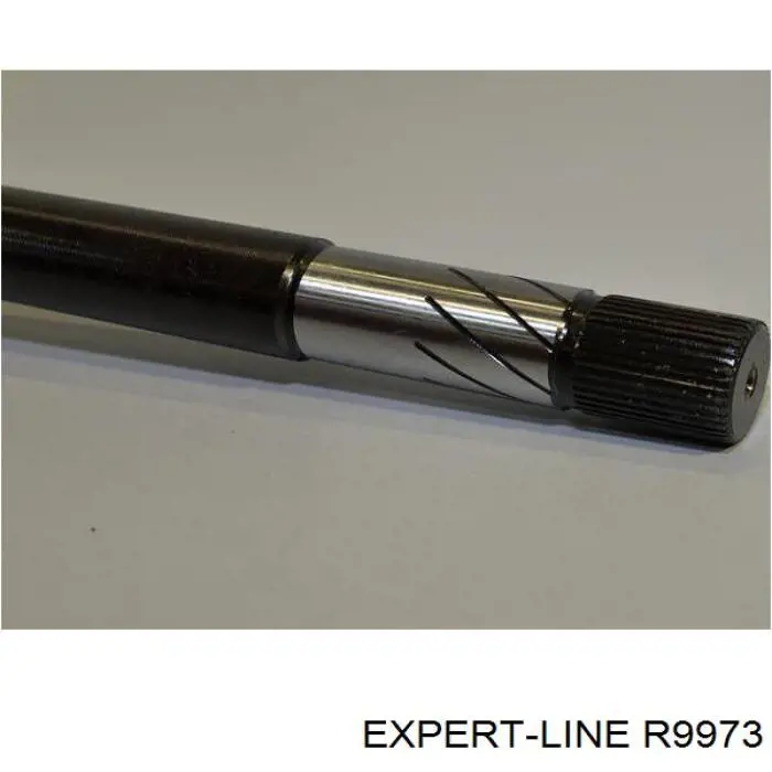 ШРУС наружный передний R9973 Expert Line