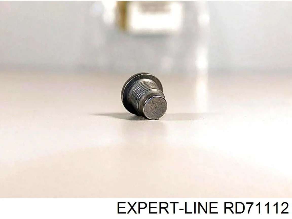 Купить RD71112 Expert Line 