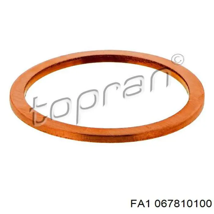 067810100 FA1