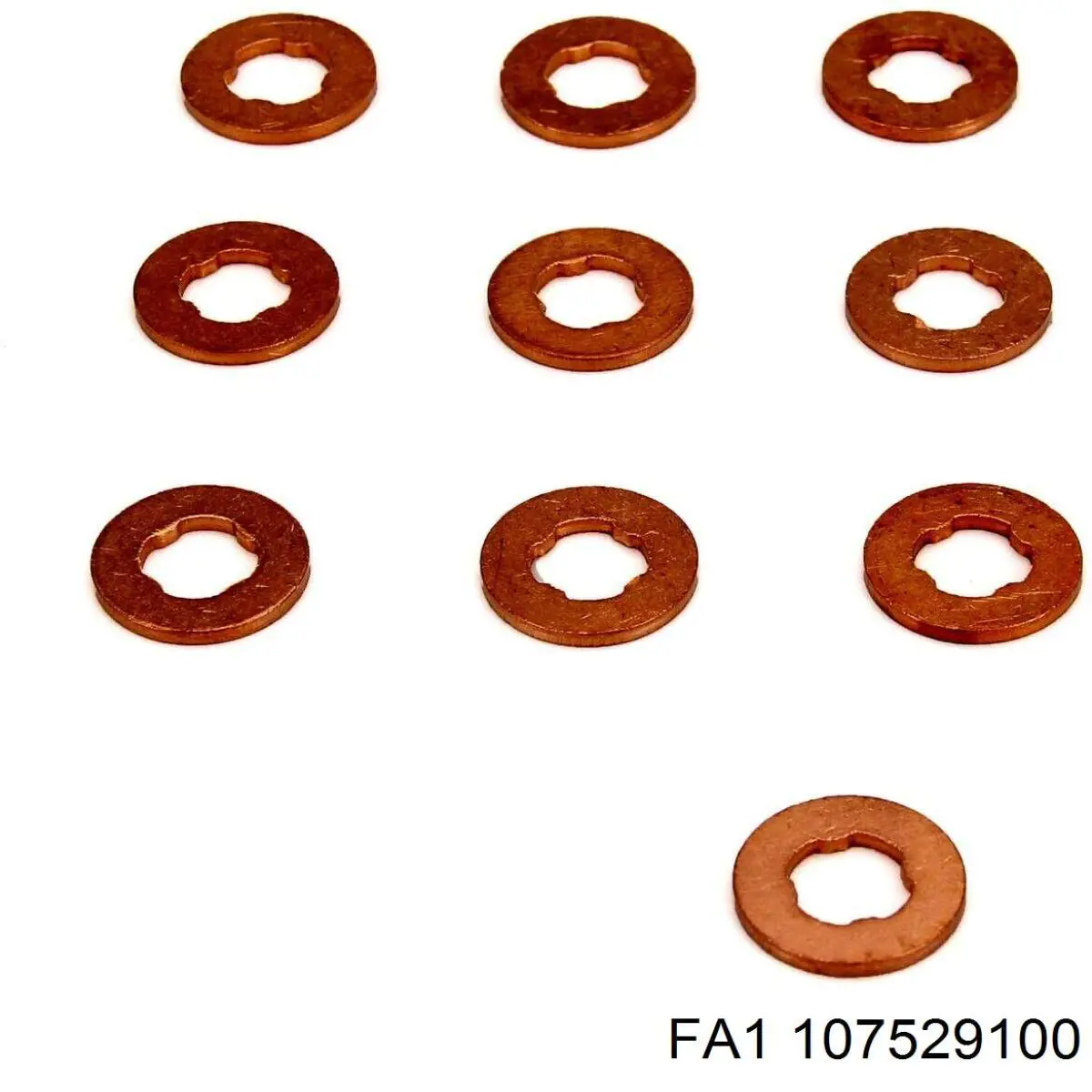 Купить 107529100 FA1 Кольцо инжектора