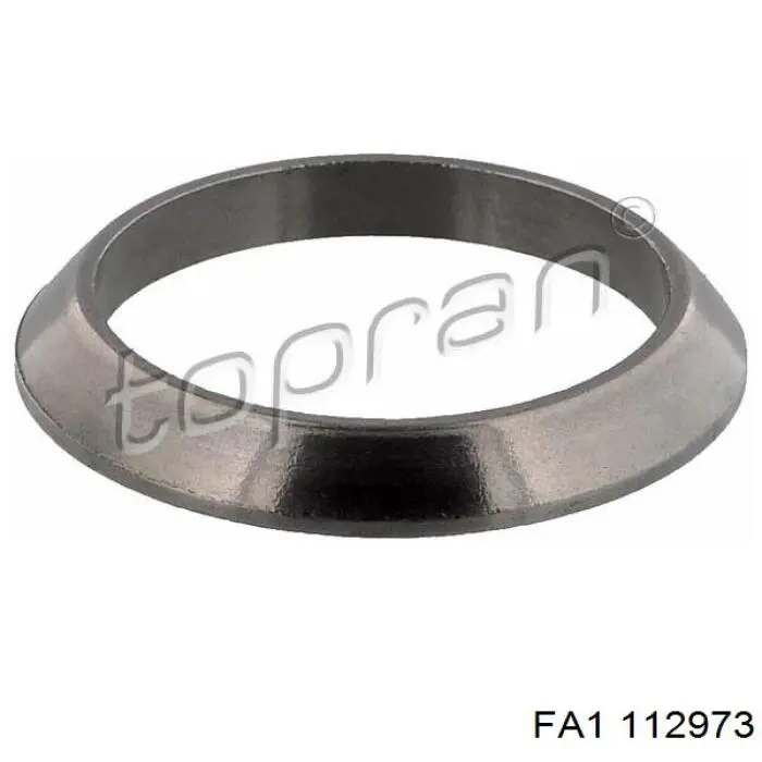 112973 FA1 