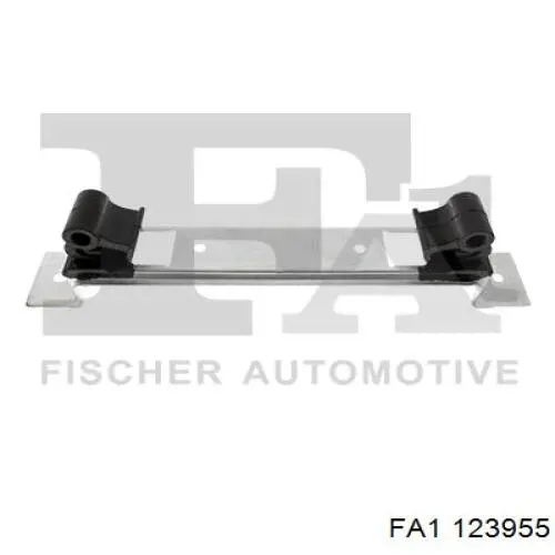 123955 FA1