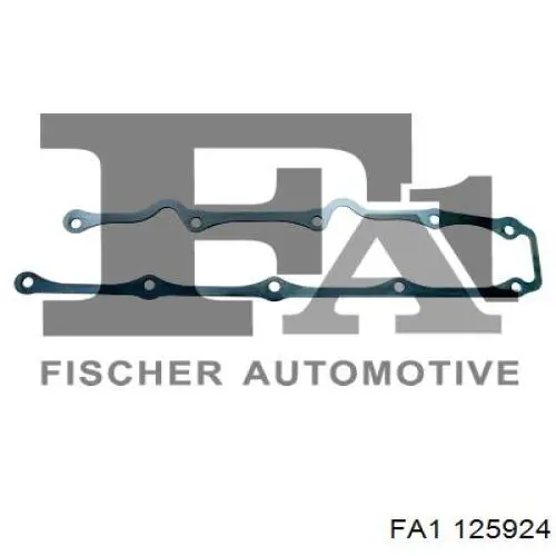 125924 FA1 