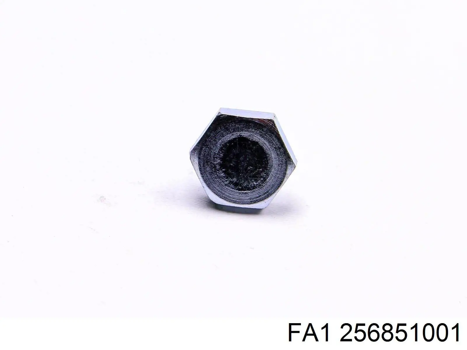 Болт поддона FA1 256851001