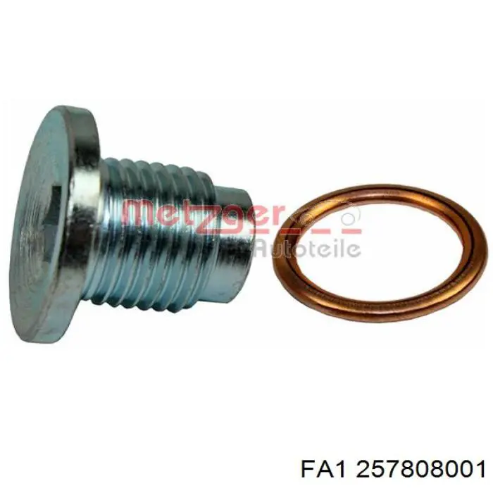 FT49502 Fast Пробка поддона двигателя