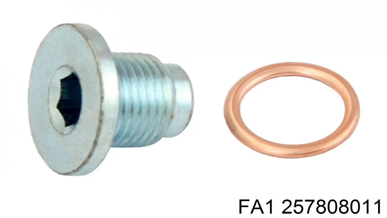 257808011 FA1