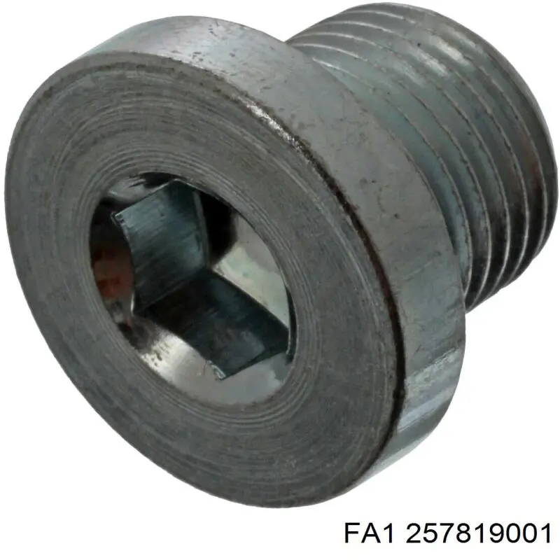 257819001 FA1