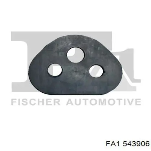 543906 FA1 