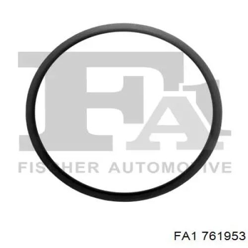761953 FA1 Прокладка штанов