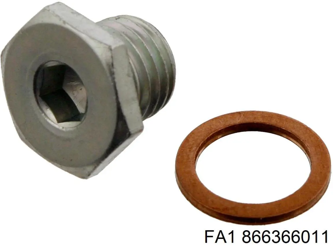 866366011 FA1