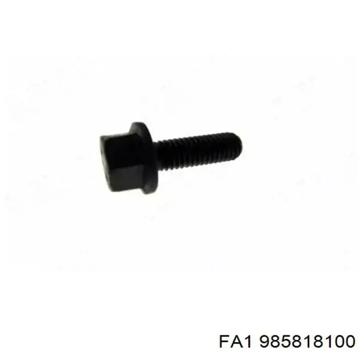  985818100 FA1