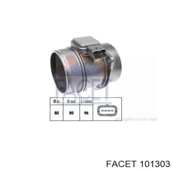 101303 Facet