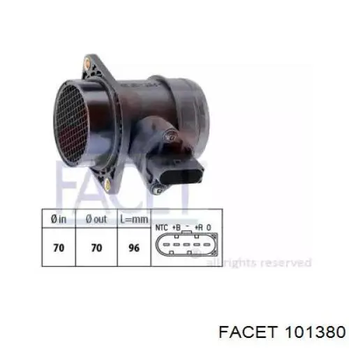 101380 Facet