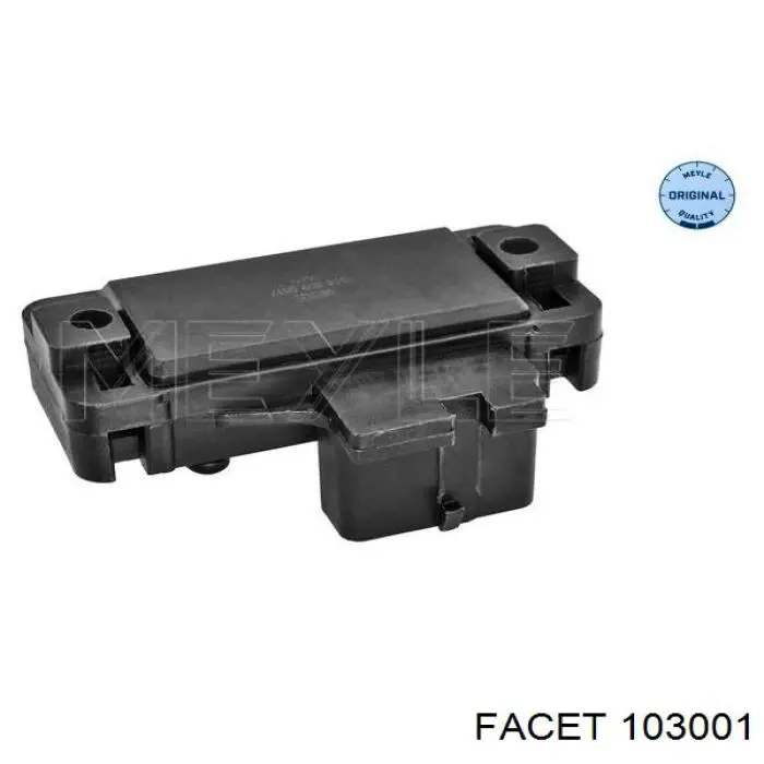 103001 Facet