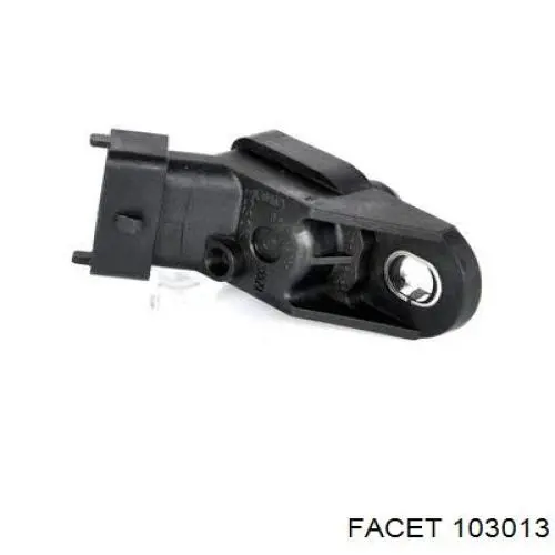 103013 Facet