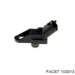 103013 Facet