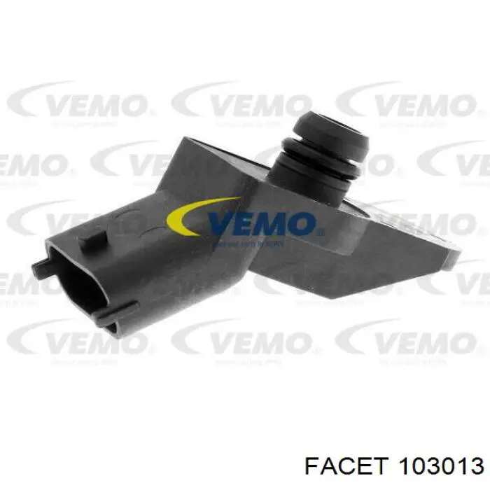 103013 Facet