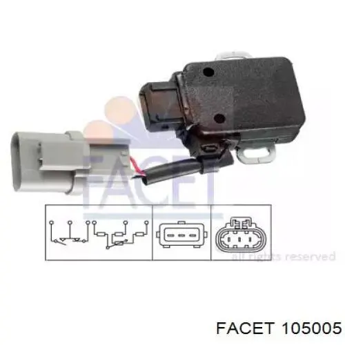 105005 Facet 