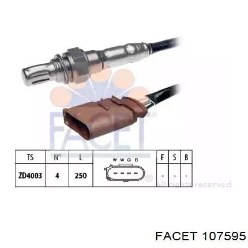 107595 Facet