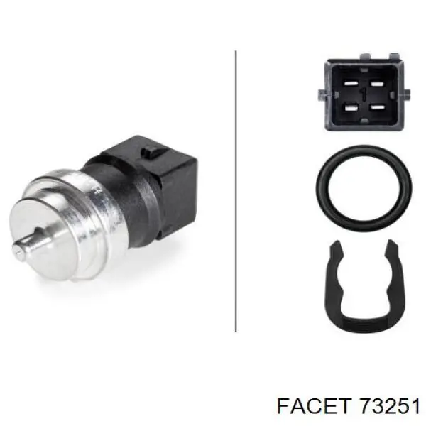 73251 Facet