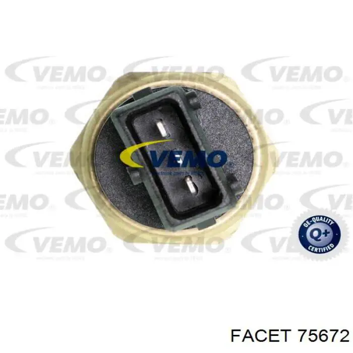 75672 Facet