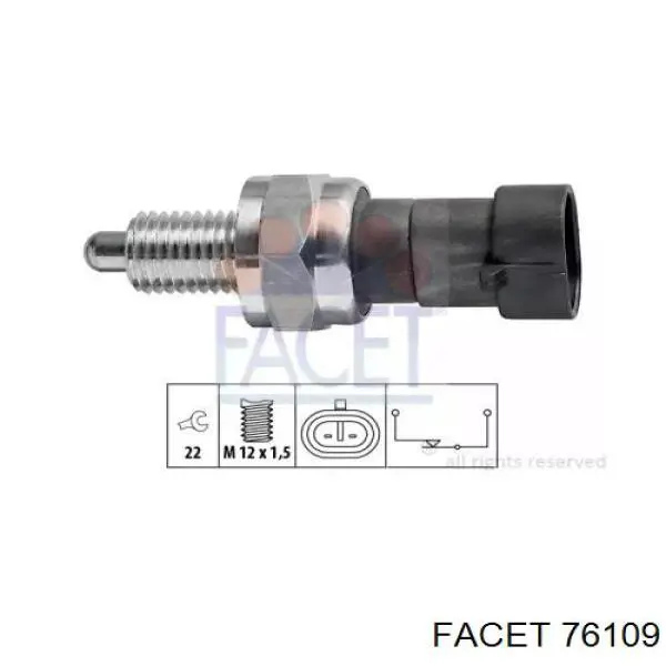 76109 Facet