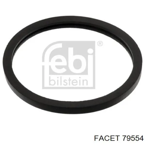 79554 Facet