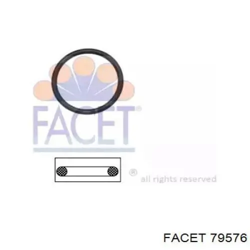 79576 Facet Прокладка корпуса термостата