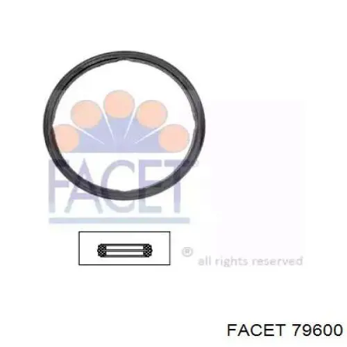 Junta, termostato 79600 Facet