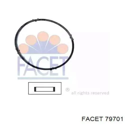 Купить 79701 Facet Прокладка корпуса термостата