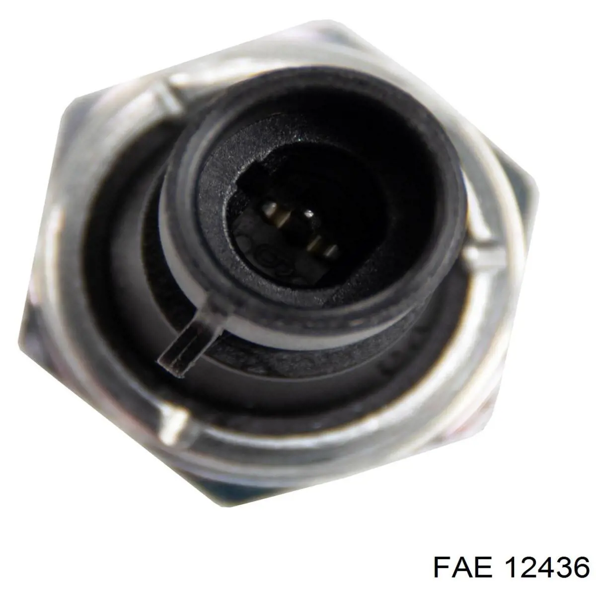 12436 FAE