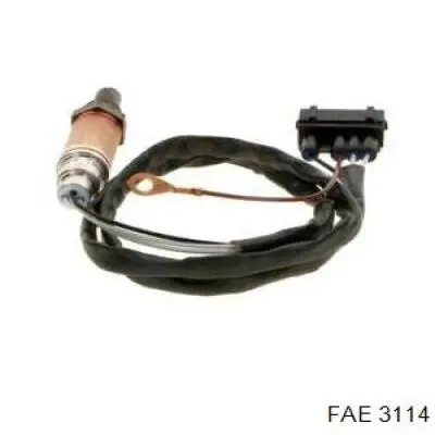 3114 FAE