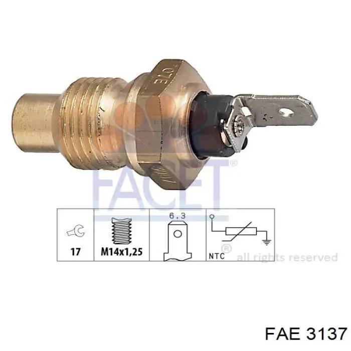 3137 FAE