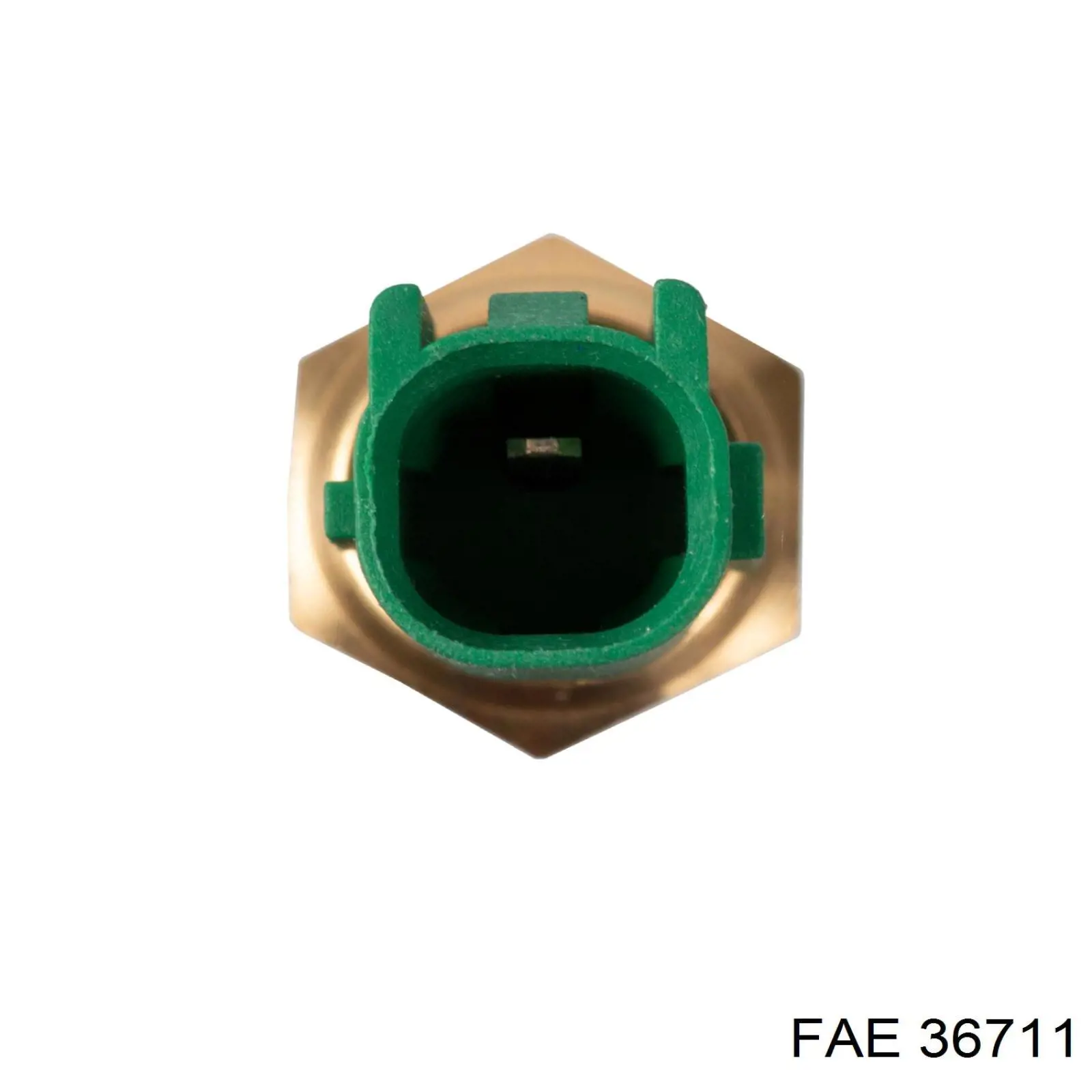 Sensor, temperatura del refrigerante (encendido el ventilador del radiador) 36711 FAE