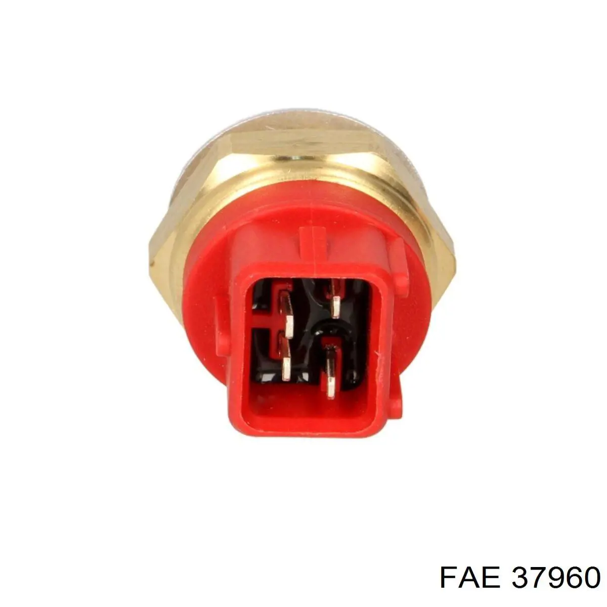 37960 FAE