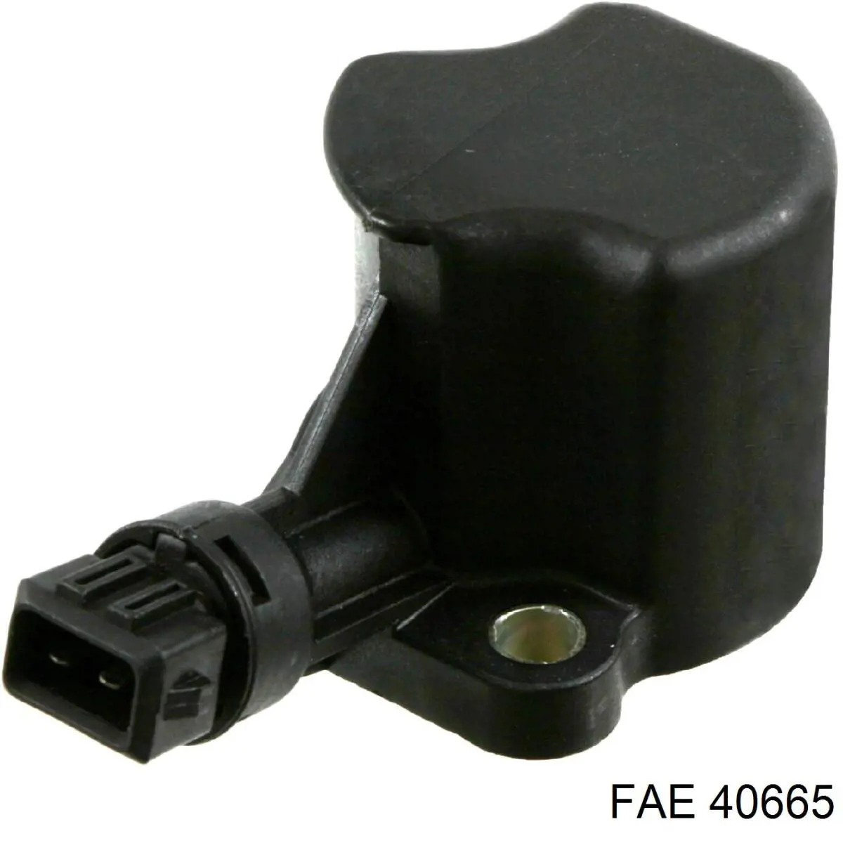 40665 FAE датчик включения фонарей заднего хода