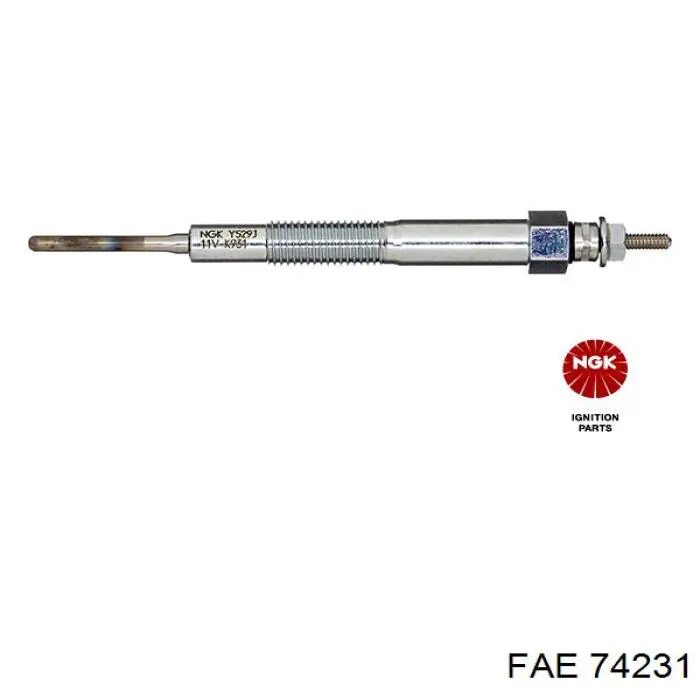 74231 FAE