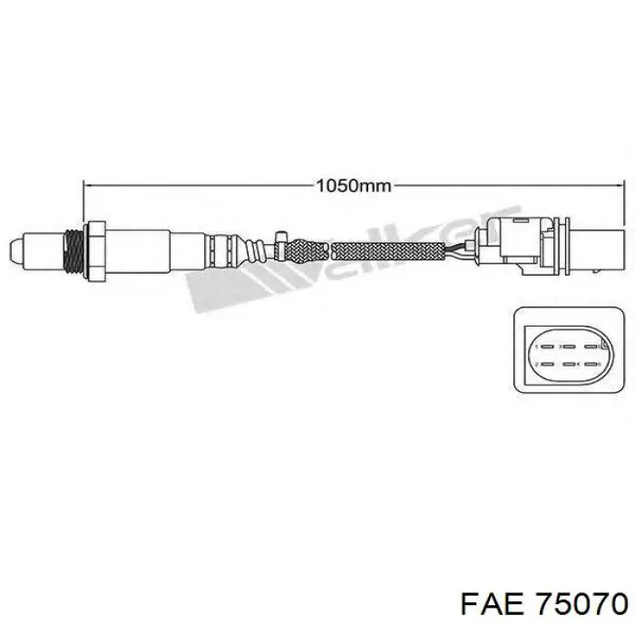75070 FAE sonda lambda, sensor de oxigênio até o catalisador