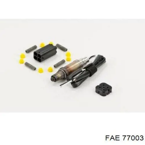 77003 FAE