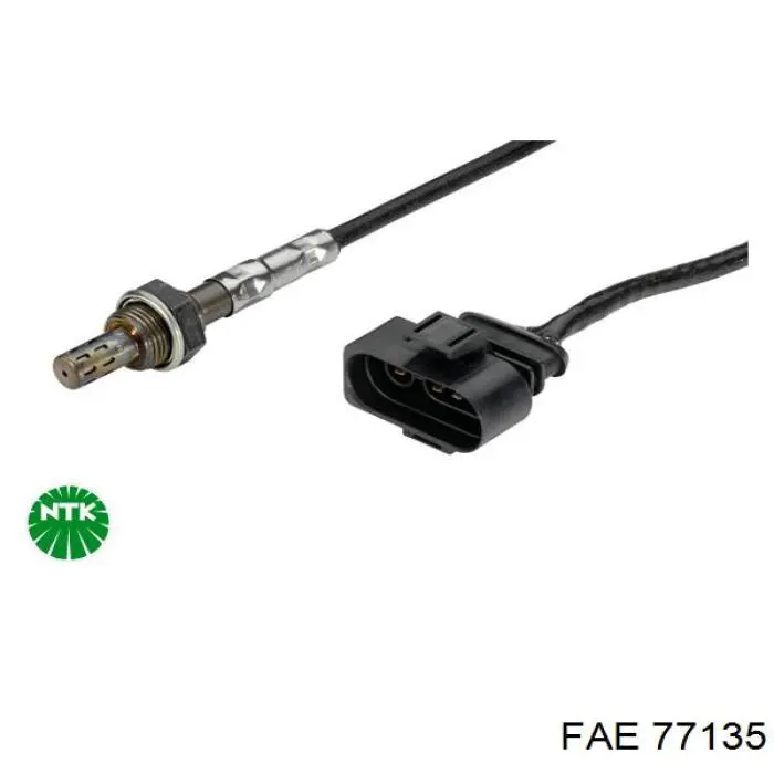 77135 FAE