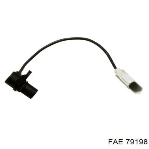 79198 FAE ДПКВ