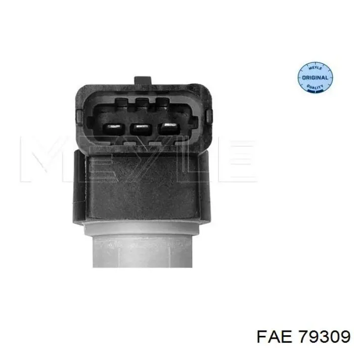 Купить 79309 FAE ДПРВ