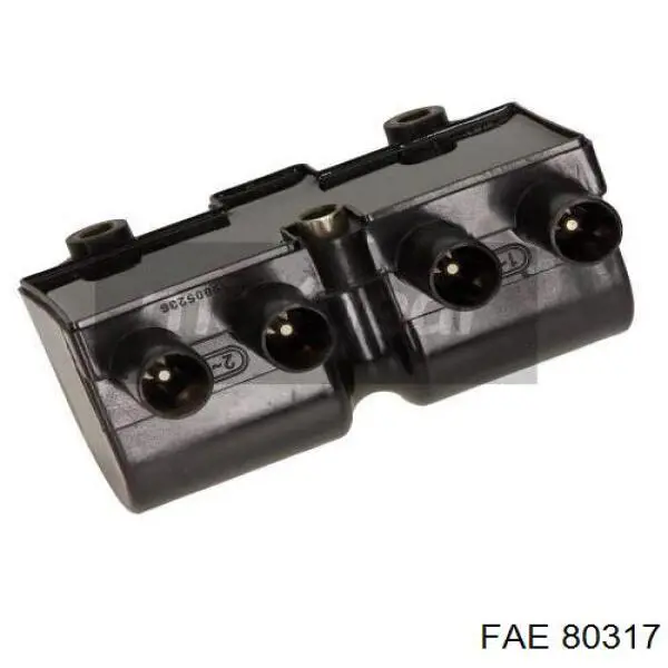 Купить 80317 FAE Катушка зажигания