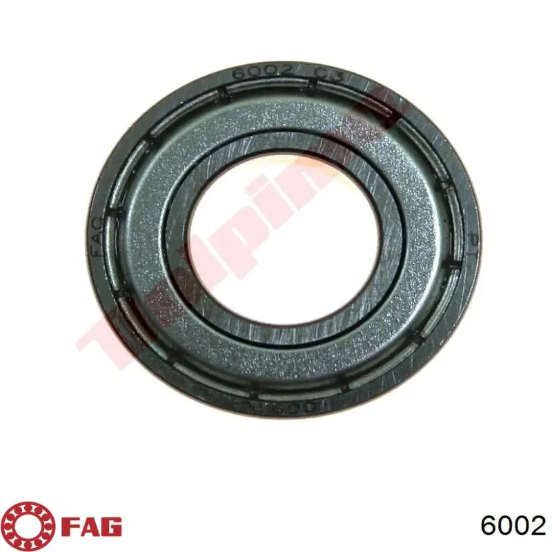 6002 FAG