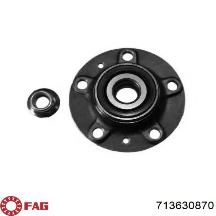 Купить 8660001829 Renault (RVI) Задняя шпиндель